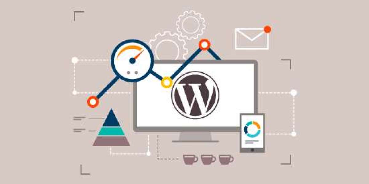 What is the WordPress Performance Labs Plugin?
